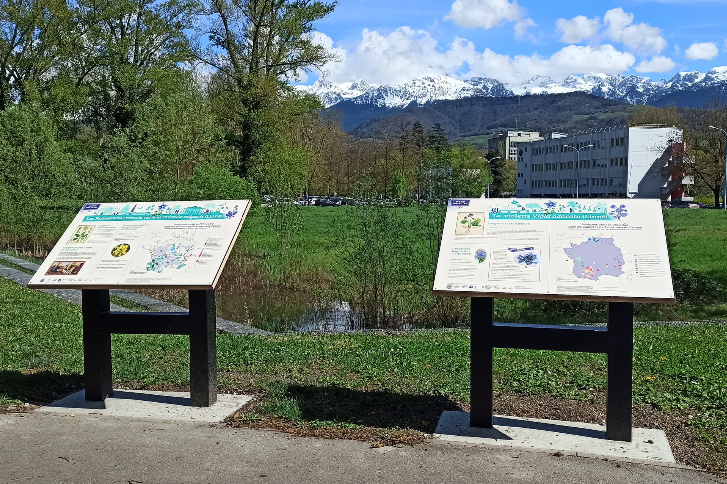 Jardin dialectal vue 1