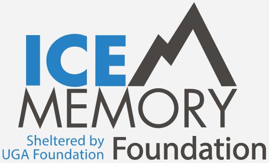 Ice Memory