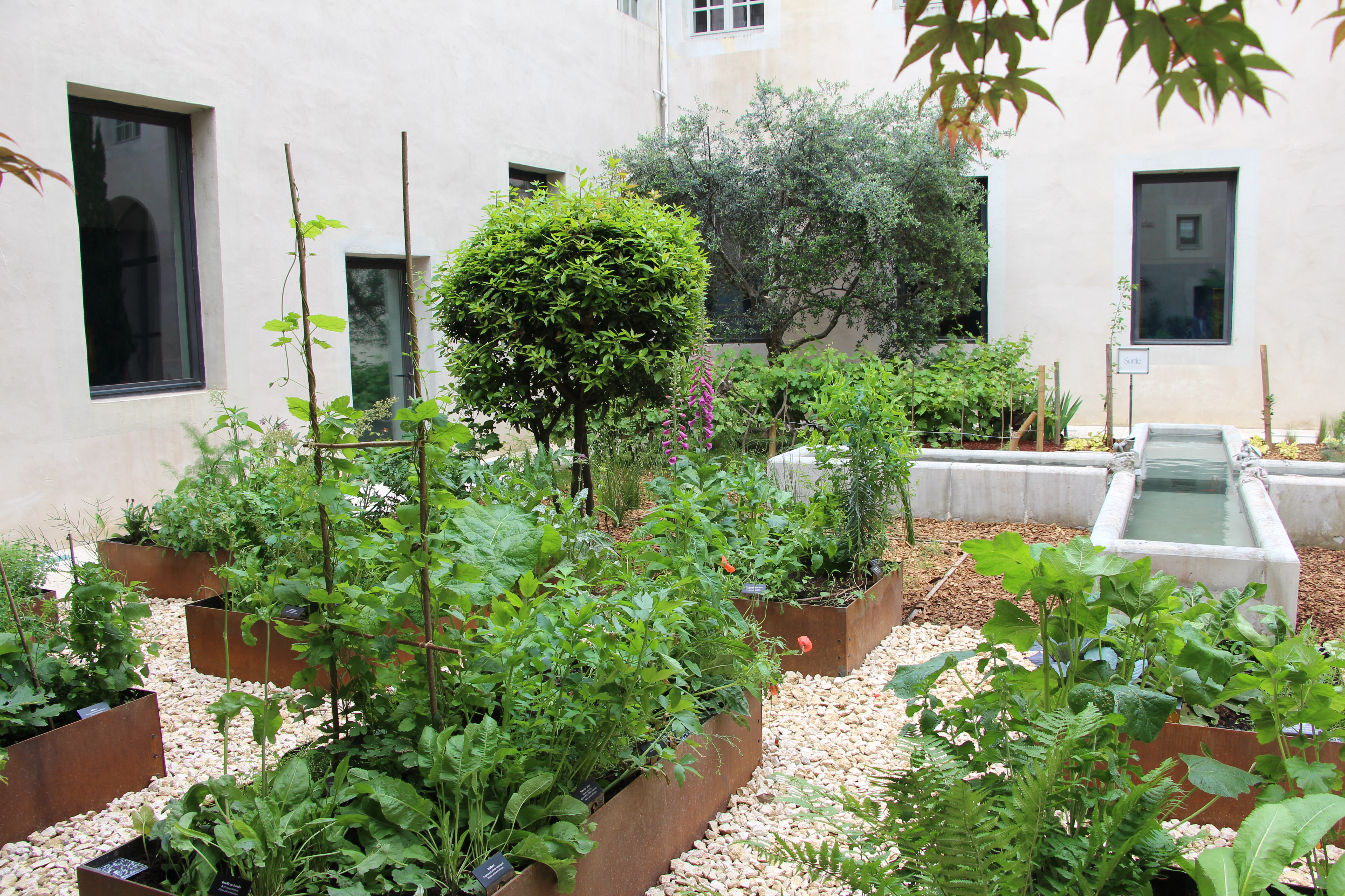 Jardin du couvent de Sainte Cécile