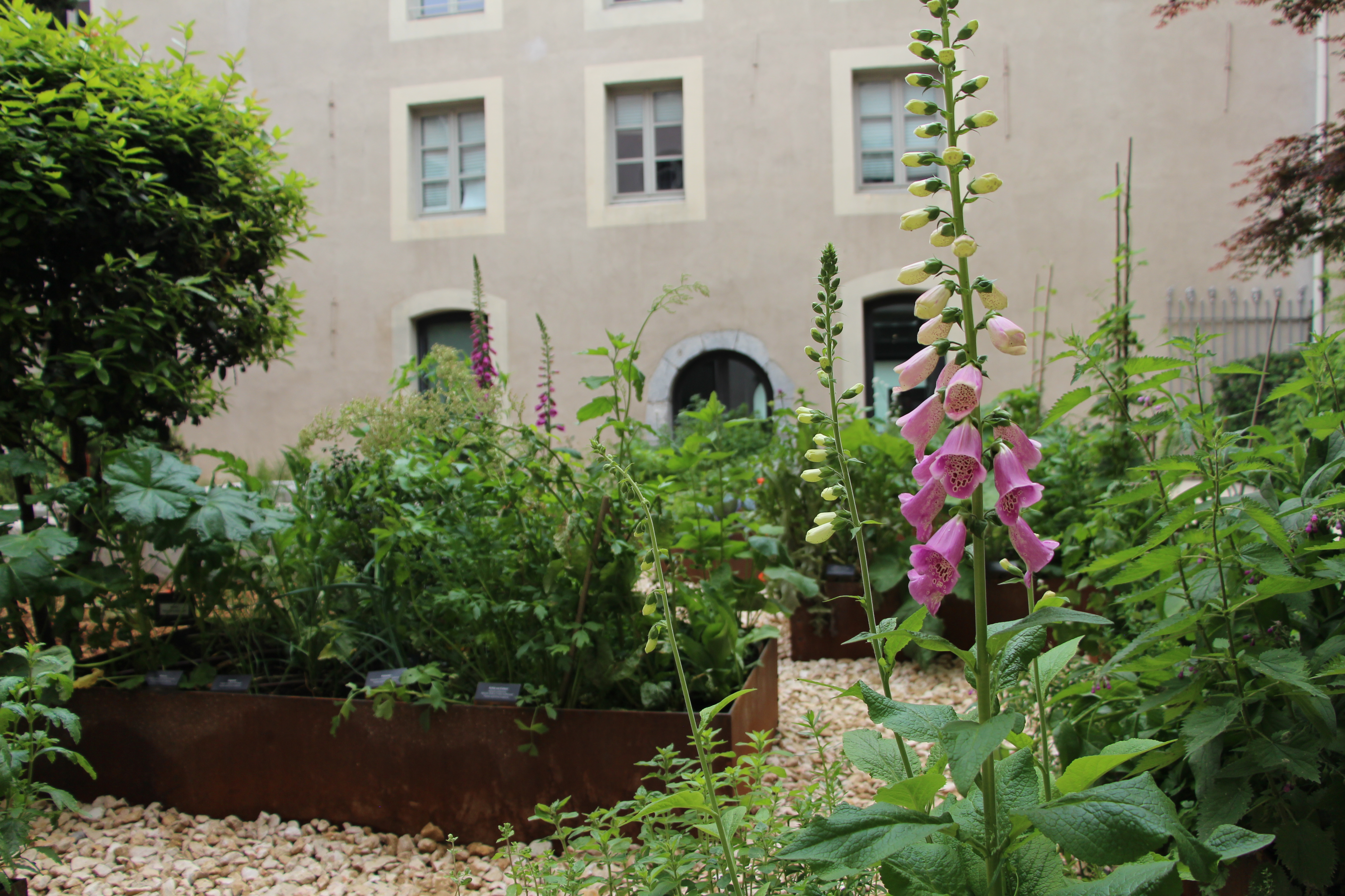 Jardin du couvent de Sainte Cécile