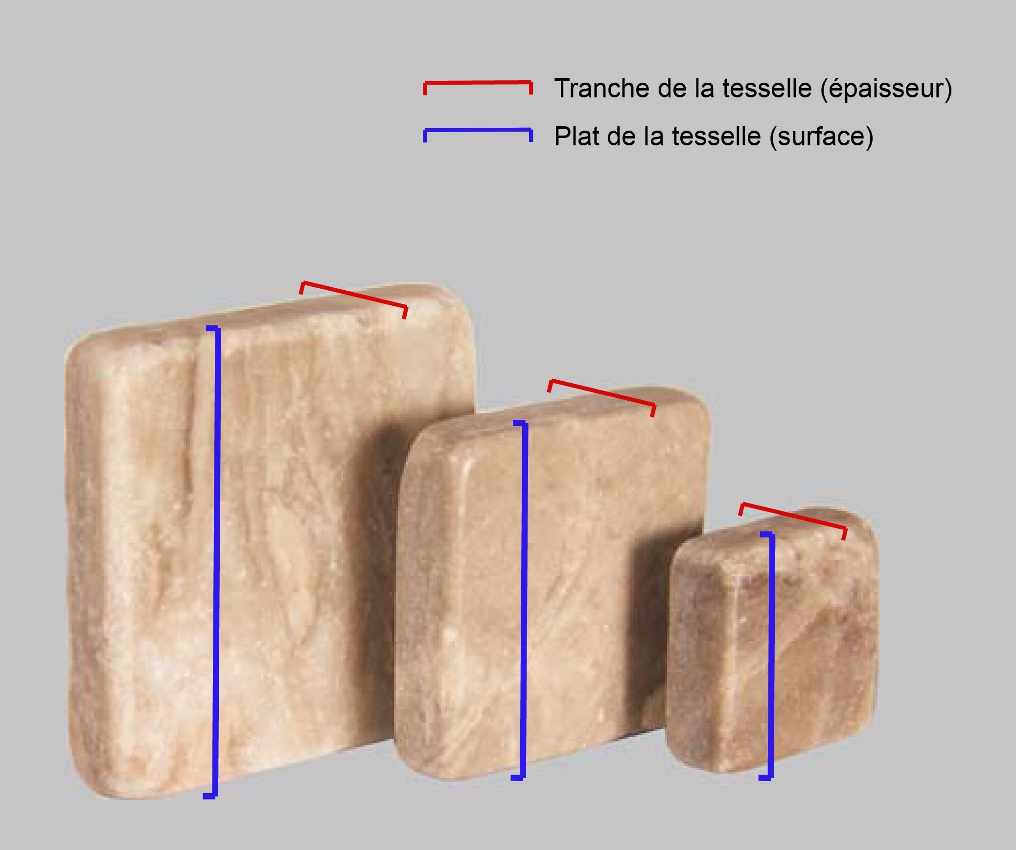 tesselles tesselles
