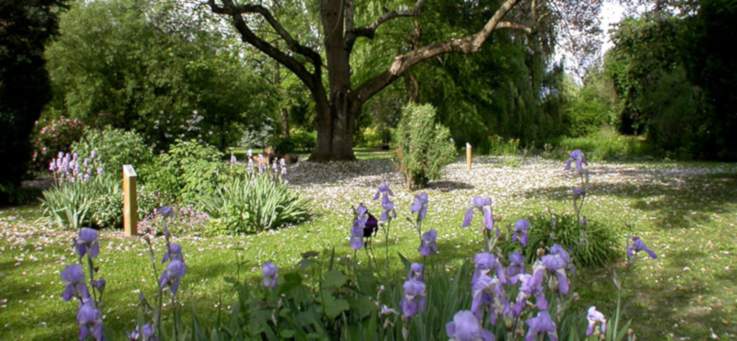 Arboretum Ruffier-Lanche © Jardin du Lautaret