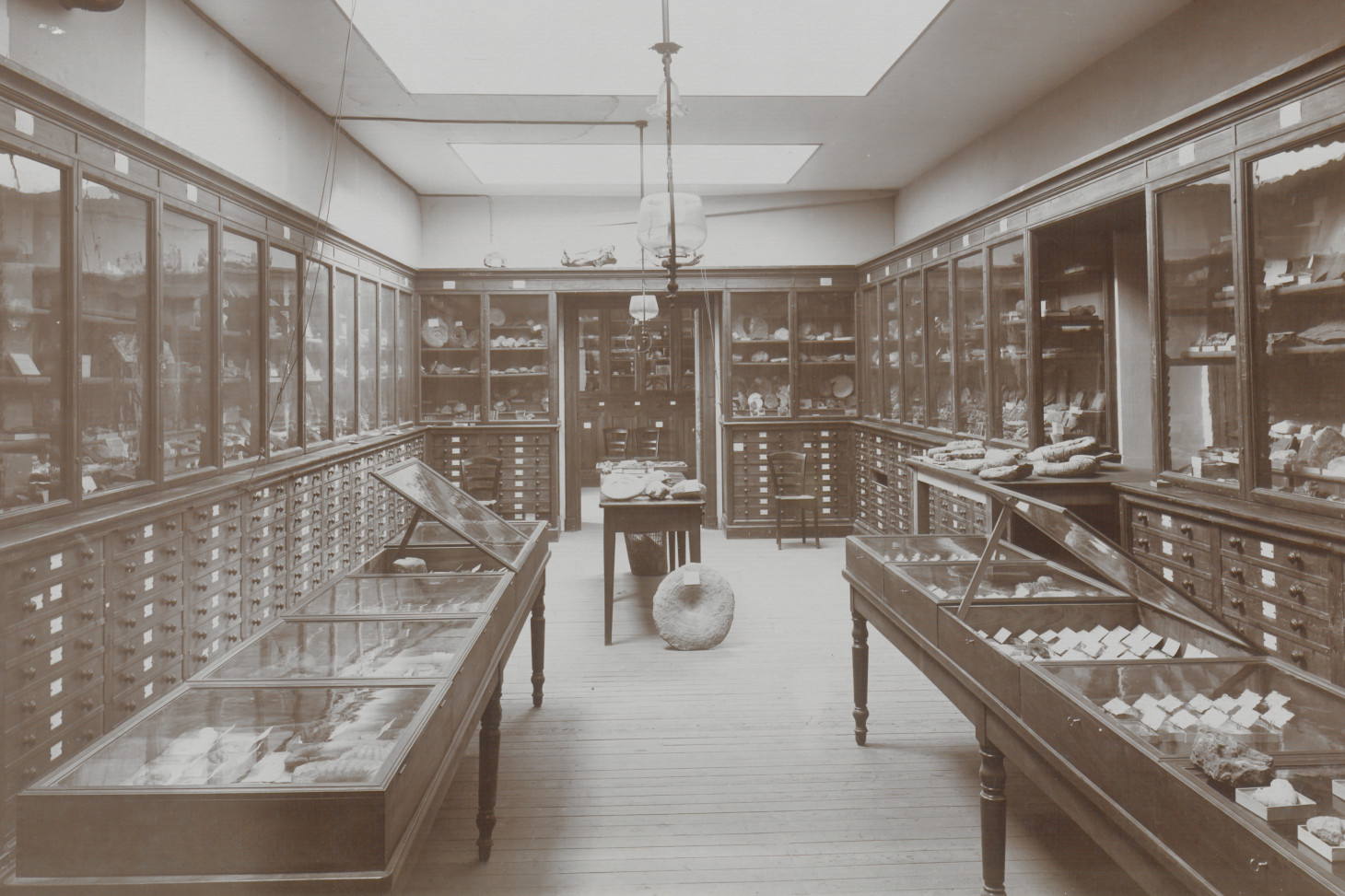 Collection de géologie à la fin du XIXe siècle - Coll. Bibliothèques de l'Université Grenoble Alpes